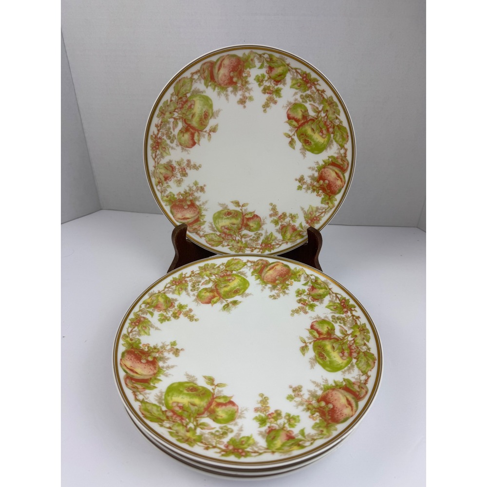 4 Vintage Haviland Limoges Plates Green Rust Fruit Gold Rim H2705 Read Flaws